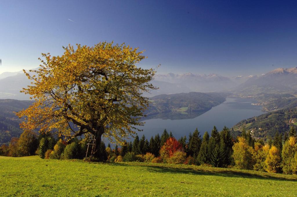 Hotel Landhaus Griesser Seeboden Esterno foto